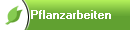    Pflanzarbeiten