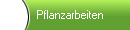    Pflanzarbeiten
